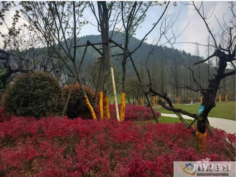 星华柏越龙山实景图花园