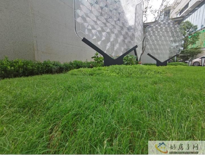 碧桂园贵阳中心实景图草坪