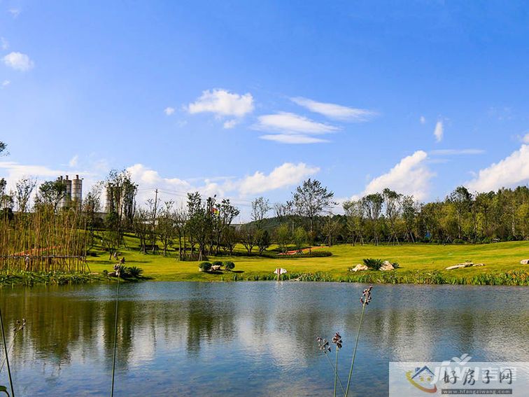 万豪双阅府实景图湖水