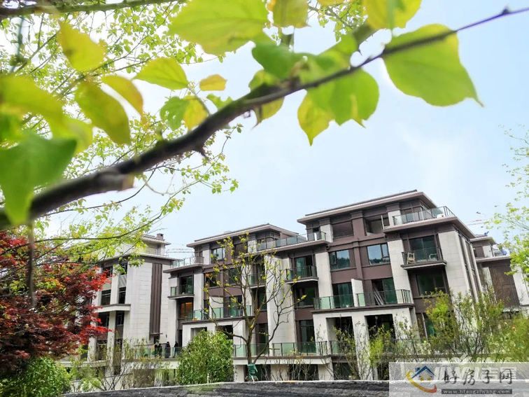 阳光城望乡实景图别墅