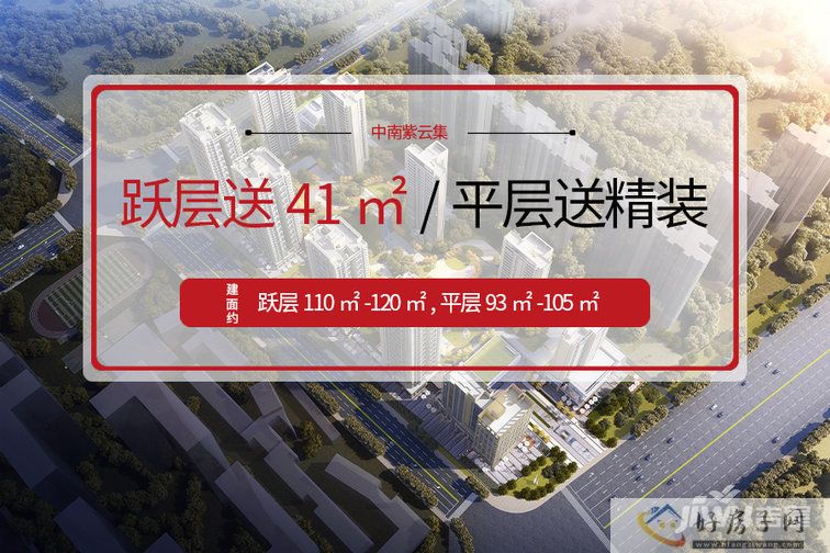 中南紫云集封面图