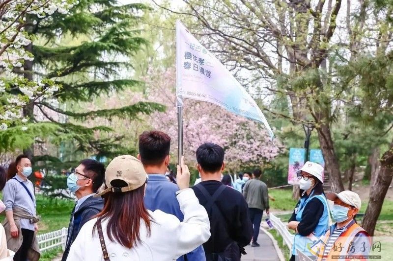 在桃源小镇，做回生活的主理人            </h1>(图12)